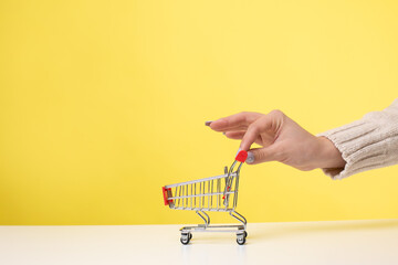 A young beautiful curly red-haired girl holds a food cart in her hands. Shopping concept.