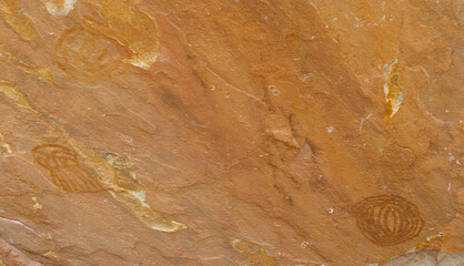 Pintura Rupestre Pernambuco