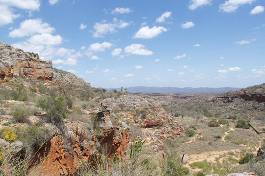 Deserto da Caatinga
