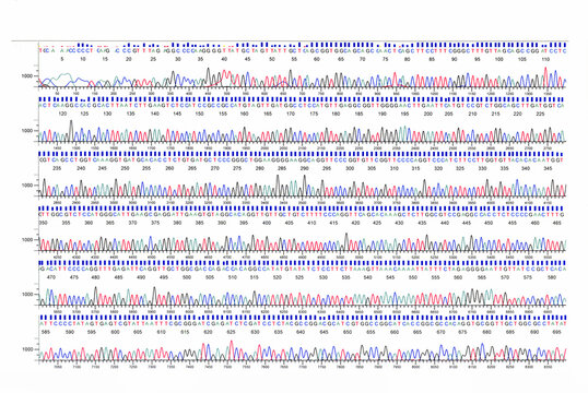 DNA sequencing chromatogram  2/6