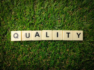 Top view toys word with text QUALITY on a green grass background.
