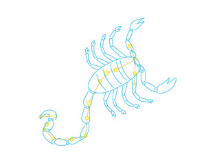 さそり座の星座絵と星の配置、白背景 © elico-polo