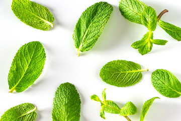 Set of green peppermint leaves isolated on white background.