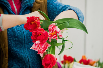 Fototapeta na wymiar Woman florist makes bouquet of tulips. Hands hold multi-colored spring flowers.