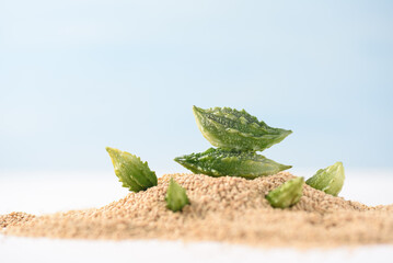 Organic bitter gourd and quinoa on  light blue sky background. Tropical summer vacation concept