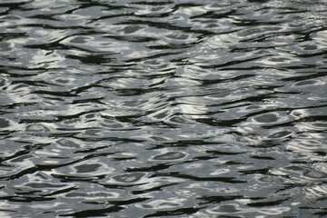 Closeup of dark gray glossy water surface, natural water background