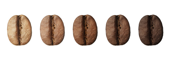 Stages of roasting coffee beans on white background, collage. Banner design