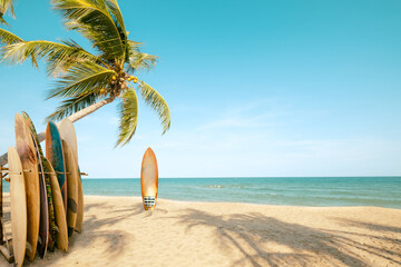 Surfboard and palm tree on beach with beach sign for surfing area. Travel adventure and water...