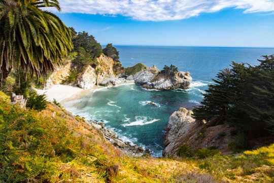 Cove View