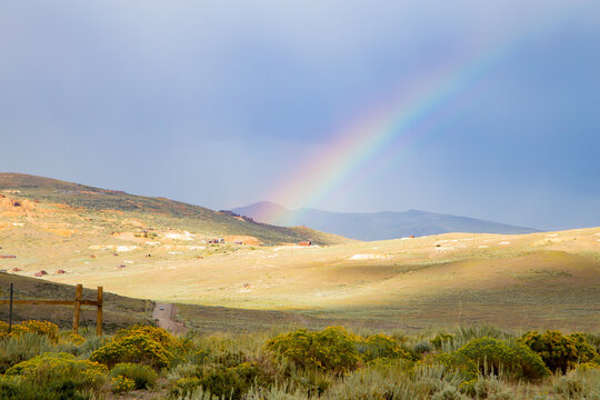 Bodie Rainbow