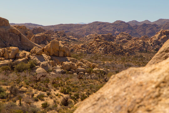 Desert View
