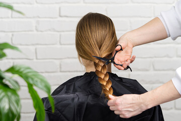 woman hair donations for people with cancer. cutting off long braided hair. Concept of hair donation. - obrazy, fototapety, plakaty