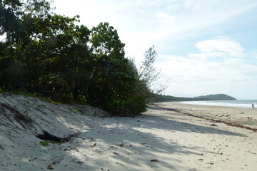 Port Douglas beaches and rainforest, danger sings and mangroves while sunset and sunrises, road trips. towns