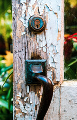 Old Garden Door with chipped paint