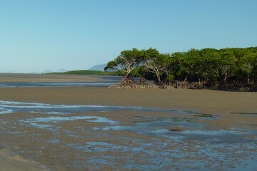 Port Douglas beaches and rainforest, danger sings and mangroves while sunset and sunrises, road...
