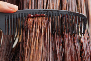 The hairdresser paints the woman's hair in a dark color, apply the paint to her hair. Getting...