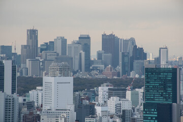 東京のビル群