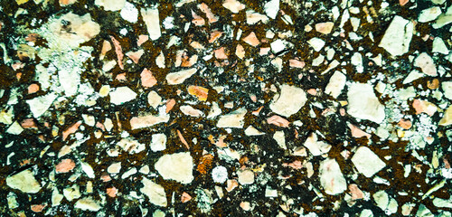 Spotty Marbled Grunge Texture with cracks for pattern and abstract background.