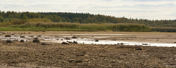 Fototapeta premium Drying bottom of the river against the background of a natural landscape - shore, trees, sky. Low water level in the reservoir.