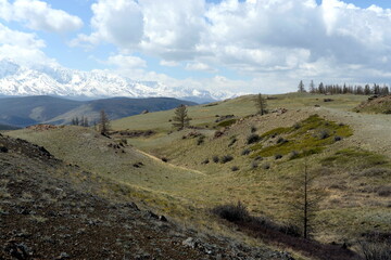 Fototapeta na wymiar Mountain landscape near the North Chui ridge in the Kosh-Agach district of the Altai Republic. Russia