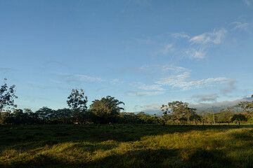 Agriculture in Colombia