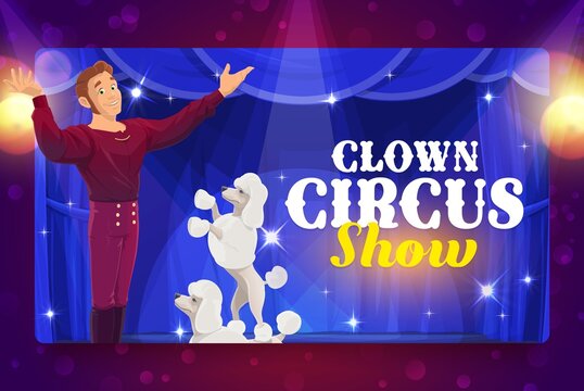 Shapito circus cartoon trainer and poodles on stage vector banner of trained animal circus show. Carnival or amusement park performance, trainer and dogs showing tricks on arena with blue curtains