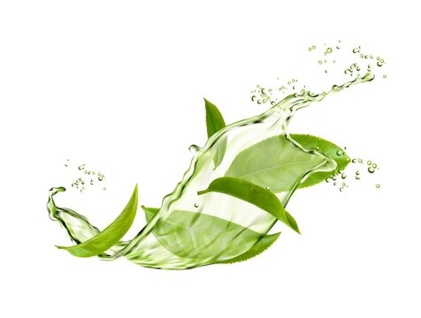 Herbal drink wave splash with green tea leaves and water flow. Vector organic beverage 3d advertising with realistic green leaves in aqua and splatters. Fresh plant, natural aroma tea splash