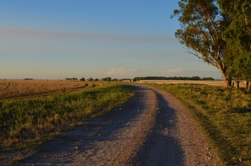 A rural road in the middle of the field, in the Pampas region of Argentina