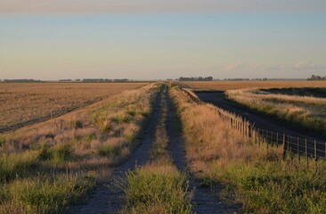 A rural road in the middle of the field, in the Pampas region of Argentina