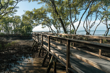 Obraz na płótnie Canvas View across wooden boardwalk in the mangrove wetlands to the waters of Moreton Bay. Wynnum, Queensland, Australia. 
