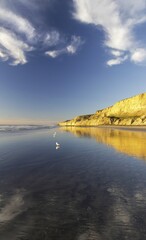 Torrey Pines State Beach Vertical View in San Diego California with Eroded Sandstone Cliffs reflected in Shallow Tide
