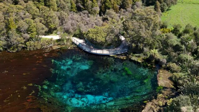 Photographer taking picture of beautiful natural colorful deep spring. Te Waikoropupu Springs, New Zealand - aerial drone