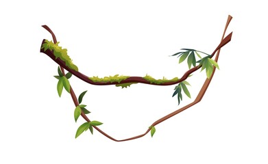 Liana or vine winding branches cartoon vector illustration. Jungle tropical climbing plants.
