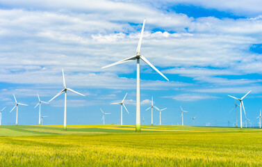 eolian green field