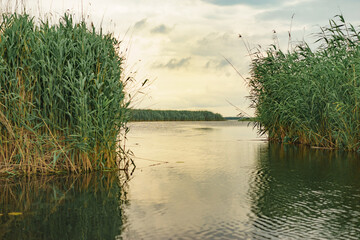 The Danube delta at sunset