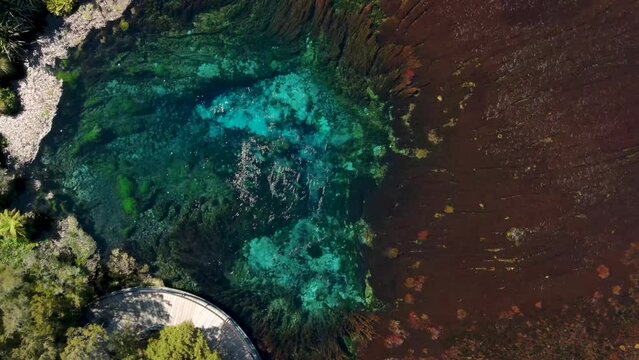 Te Waikoropupu Springs - Bubbling, Cool, And Clear Blue Water Of Pupu Springs In Golden Bay, New Zealand. - aerial