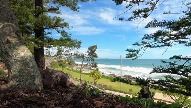 Looking through pine trees to the beach and ocean view at Mooloolaba on the Sunshine Coast, Queensland.