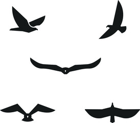 flying eagle silhouette