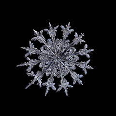 Snowflake isolated on black background. Macro photo of real snow crystal: elegant stellar dendrite...