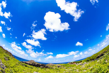 宮古島の青い海