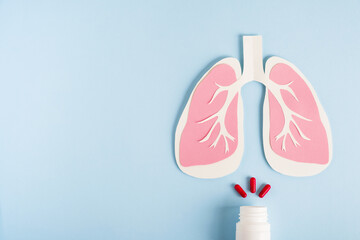 Lungs paper decorative model with pills on light blue background. World tuberculosis TB day, pneumonia, respiratory diseases concept. Top view, flat lay, copy space