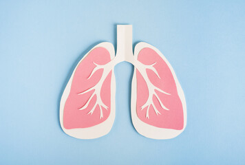 Lungs paper decorative model on light blue background. World tuberculosis TB day, pneumonia, respiratory diseases concept. Top view, flat lay - obrazy, fototapety, plakaty