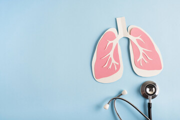 Lungs paper decorative model with medical stethoscope on light blue background. World tuberculosis TB day, pneumonia, respiratory diseases concept. Top view, flat lay, copy space - obrazy, fototapety, plakaty