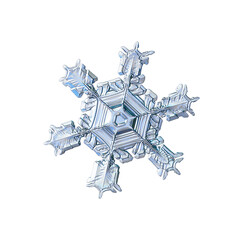 Snowflake isolated on white background. Macro photo of real snow crystal: elegant star plate with...