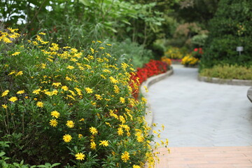 정원처럼 거닐다