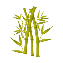 Bamboo Stick as China Object and Traditional Cultural Chinese Symbol Vector Illustration