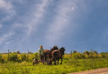 Zelfklevend Fotobehang Amish man met een buggy langs landelijke weg in Midwest in de zomer  opkomende maan op de achtergrond © Lana