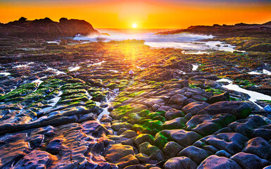 Obraz premium Sunset glow at Weston Beach highlighting rocks, pebbles, and moss