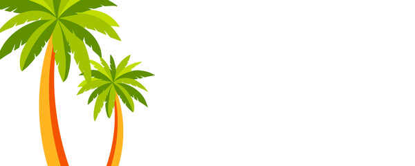 palm tree on white background