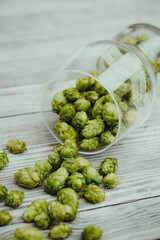 fresh bio hop